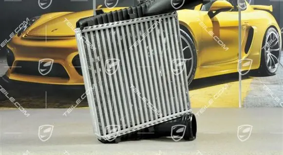 Porsche Cayenne (9PA) Intercooler radiator 95511080301