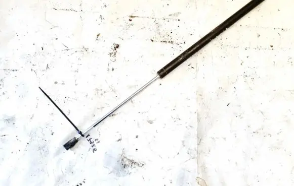 Tailgate/trunk strut/damper
