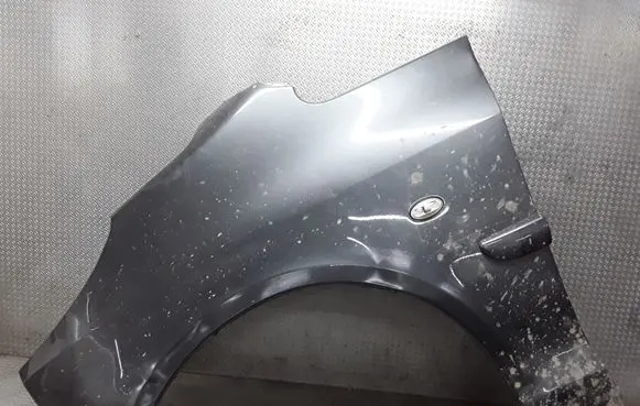 Peugeot 1007 Fender