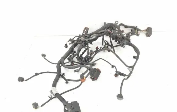 Engine installation wiring loom