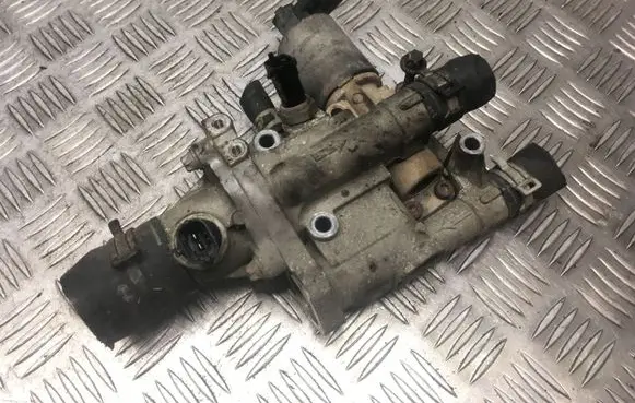 Thermostat/thermostat housing