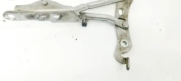 Volvo S60 Tailgate/trunk/boot hinge 30779936