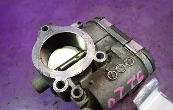 Throttle body valve
