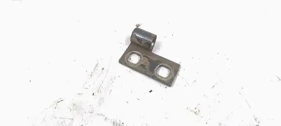 BMW 3 E46 Rear door lower hinge 