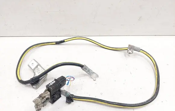 Nissan Leaf I (ZE0) Positive cable (battery) 170116150