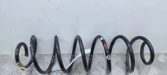 Citroen C4 Cactus Rear coil spring