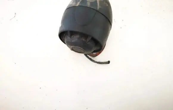 Ford Focus Alarm system siren 