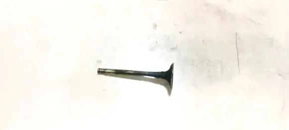 Volkswagen Golf V Valve 
