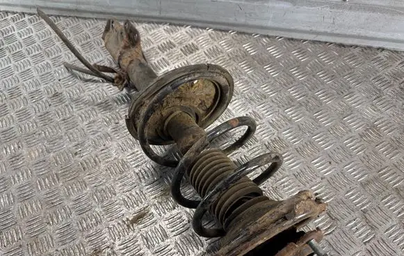 Toyota RAV 4 (XA20) Front shock absorber/damper