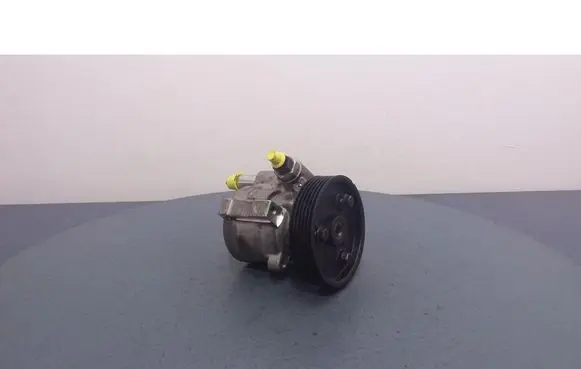 Renault Laguna II Power steering pump PP171