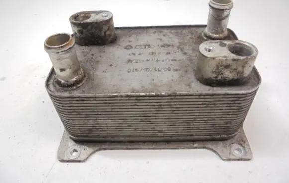 Volkswagen PASSAT B6 Engine oil radiator 4E0317021H