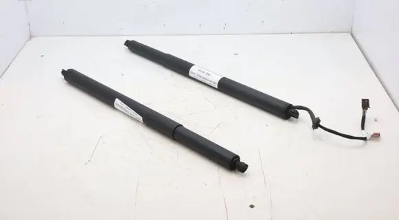 Hyundai Santa Fe Tailgate strut 81831-S1600