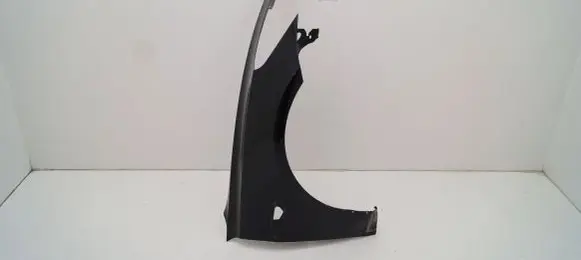 Tesla Model 3 Fender