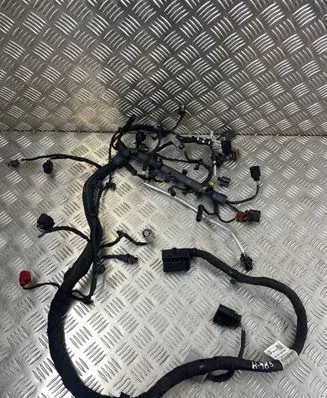 Engine installation wiring loom