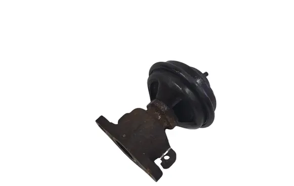 KIA Carens I EGR valve
