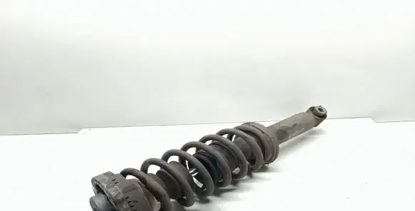 BMW X3 F25 Rear shock absorber with coil spring 6795317 33526796317