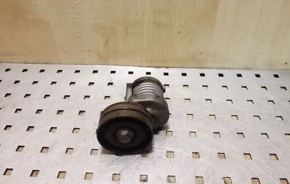 Skoda Fabia Mk1 (6Y) Generator/alternator belt tensioner 038903315