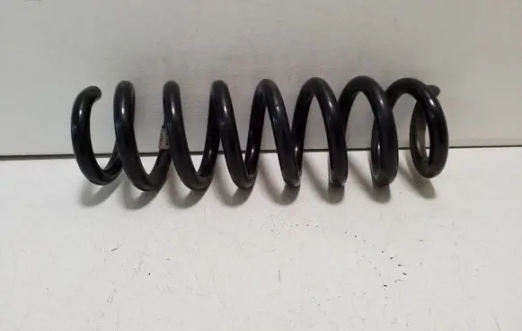 Rear coil spring