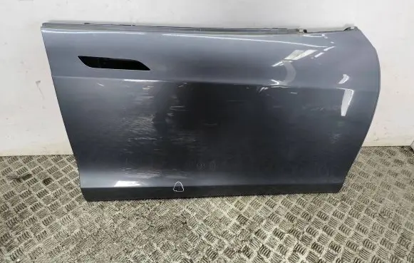 Tesla Model S Front door