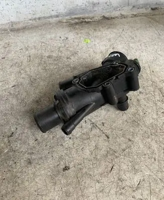 Thermostat/thermostat housing