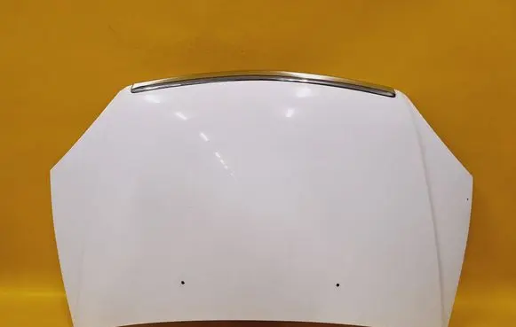 Tata Indica Vista II Engine bonnet/hood