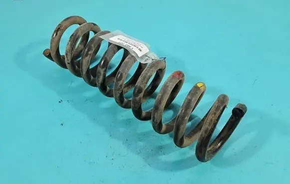 Rear coil spring