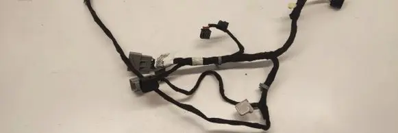 Chevrolet Corvette C7 Front door wiring loom 22789019