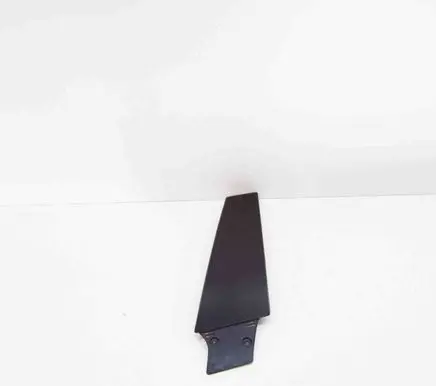 Tesla Model S Front door glass trim molding 