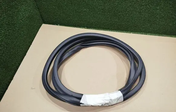 Renault Koleos II Rear door rubber seal (on body) 