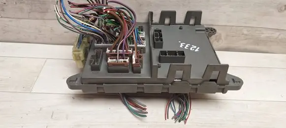 Land Rover Freelander Fuse module 518665104