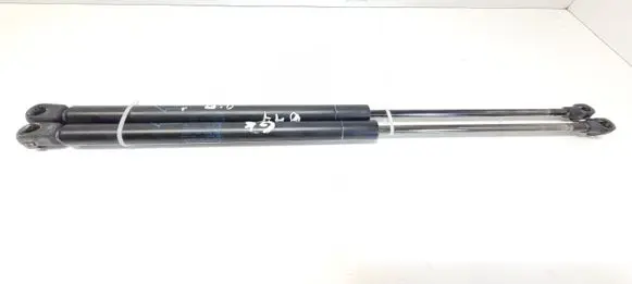 Toyota Yaris Tailgate/trunk strut/damper 689500D010