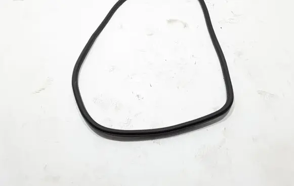 Renault Talisman Rear door rubber seal (on body) 769249583R