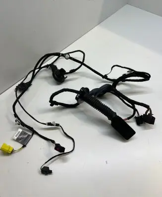 Rear door wiring loom