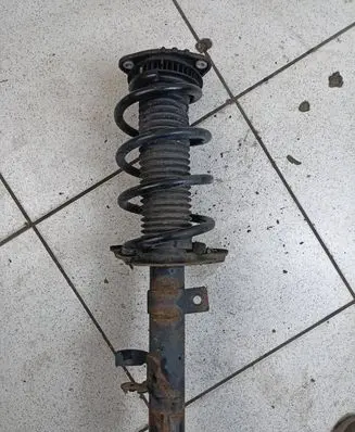 Ford Escape III Front shock absorber/damper CV613K155BB