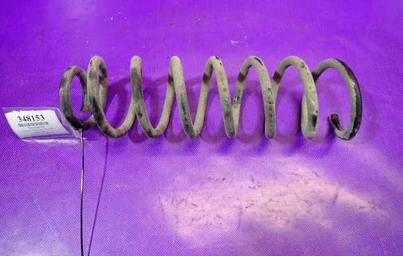 Rear coil spring