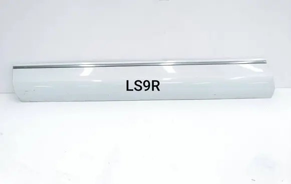 Audi Q7 4L Front door trim (molding) 4L0853959L