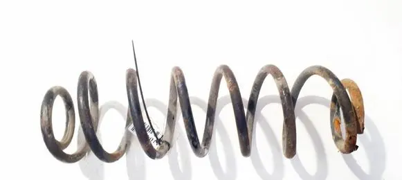 Skoda Roomster (5J) Rear coil spring