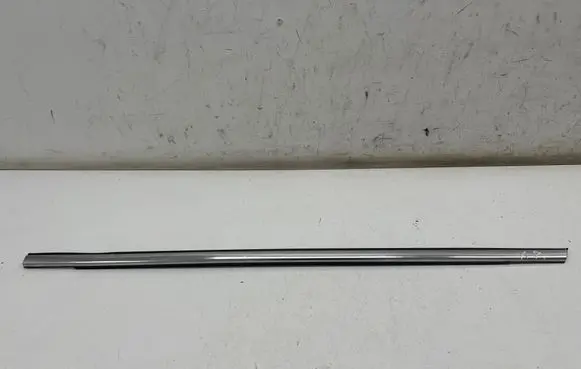 Ford Ecosport Front door glass trim molding