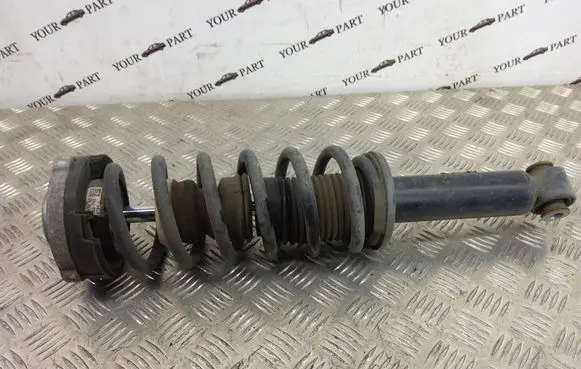 BMW X3 F25 Rear shock absorber with coil spring 6796317