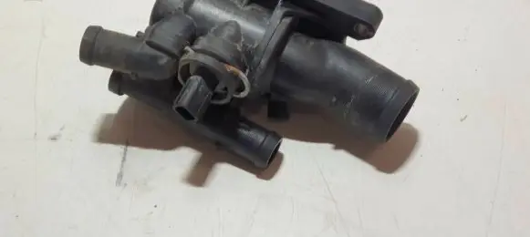 Thermostat/thermostat housing