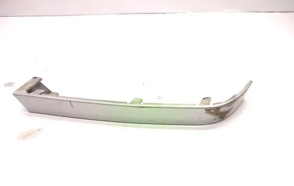 Rear/tail light trim molding