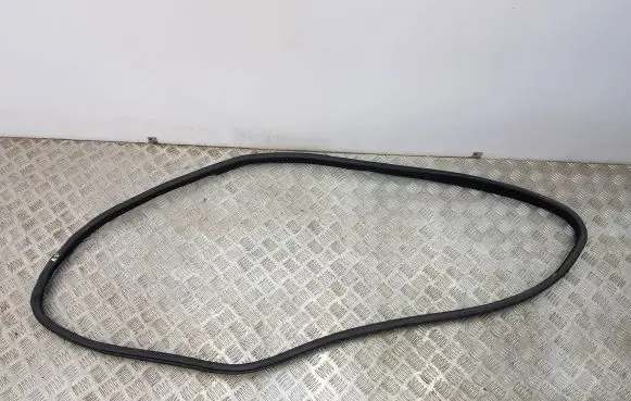 Infiniti Q30 Front door rubber seal 600591