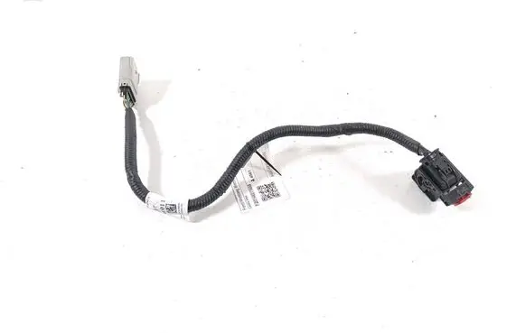 Other wiring loom