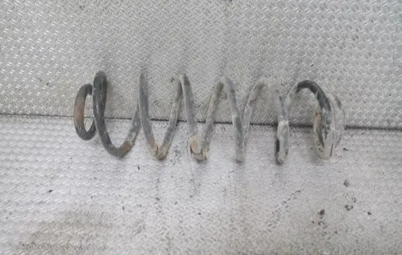 Volkswagen Golf V Rear coil spring