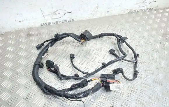 Mitsubishi Lancer VIII Engine installation wiring loom