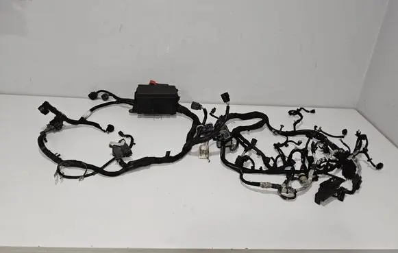 Engine installation wiring loom