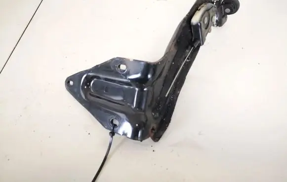 Dodge Grand Caravan Sliding door trim 