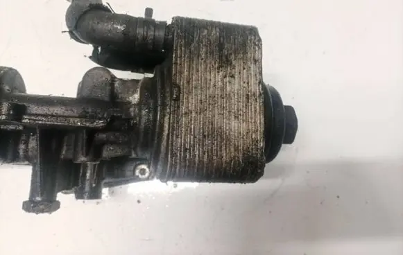 Volkswagen PASSAT B5.5 Engine oil radiator 
