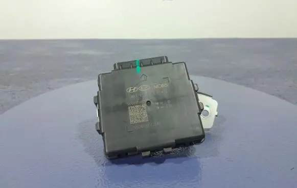 KIA Optima Other control units/modules 96880-D4000