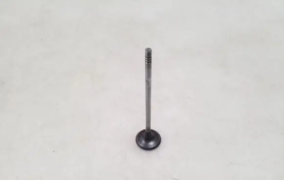 Opel Insignia A Valve 